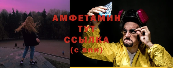 ГАЛЛЮЦИНОГЕННЫЕ ГРИБЫ Заволжье