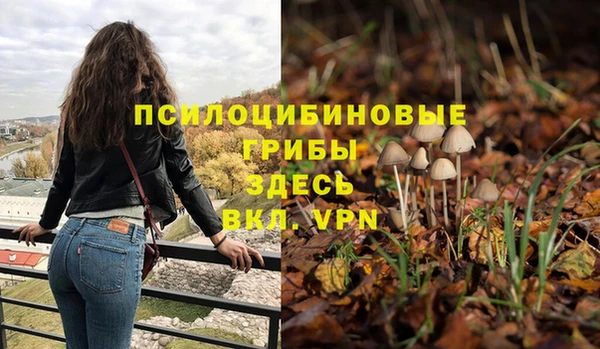 винт Абдулино
