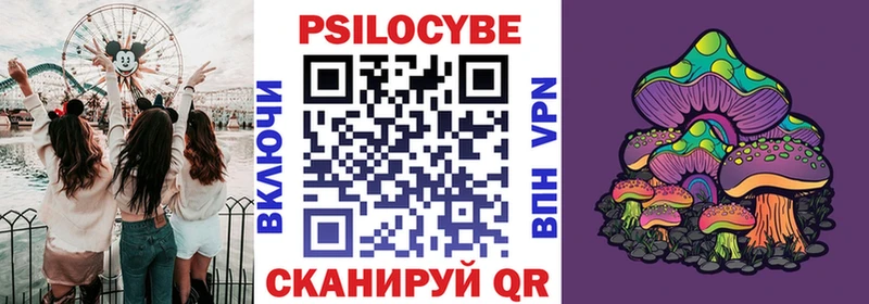 Псилоцибиновые грибы ЛСД  OMG tor  Вилюйск  купить  сайты 